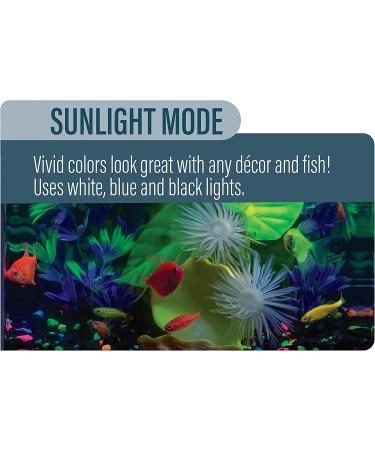 GloFish 4-mode Cycle Light for 20 Gallon Interactive Aquariums - Buy Online on GoSupps.com