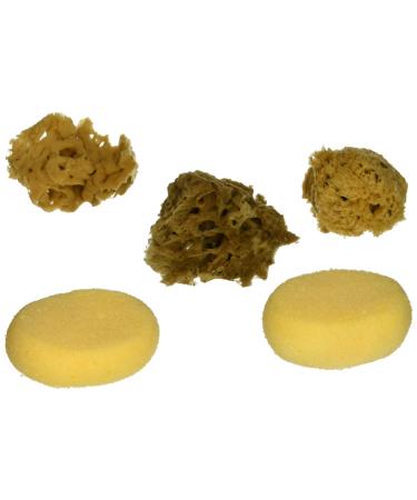 ROYAL BRUSH Watercolor Sponges 6/Pkg 1