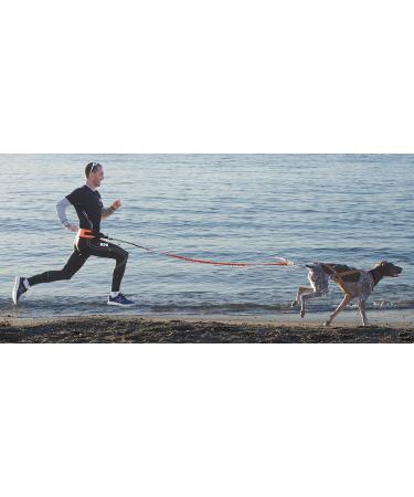 I-DOG Zugleine CanicRoss One - Premium Dog Leash for Safe International Walks - Buy Online on GoSupps.com