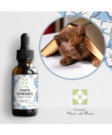Bach Flower Advice - Bach Flowers Stressed Cat without Alcohol - A Blend That Will Help Your Cat Calm Down (30 ML) Pack of 2 - Buy Online on GoSupps.com