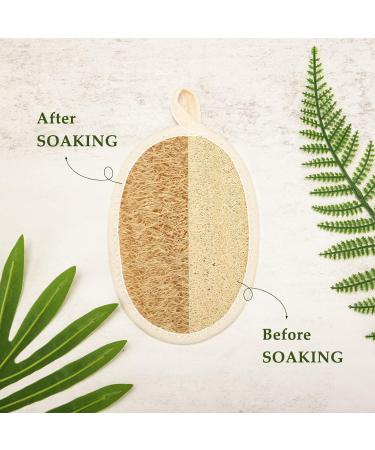 olyee Natural Loofah 4 Pack Exfoliating Sponge Face Wash Pads Body Loofah Skin Bath Loofah Back Scrubber Luffa and Terry Cloth Hang Biodegradable Shower Sponges for Adults Women Men - Buy Online on GoSupps.com