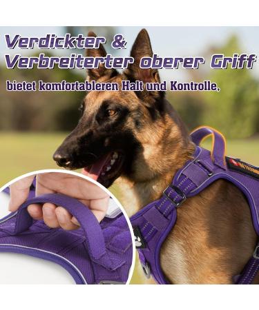 Rabbitgoo Adjustable Dog Harness for Medium Dogs - Durable Tactical Wear-Resistant with Metal Buckles & Handles - Perfect for Hiking (Purple M) - Buy Online on GoSupps.com
