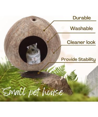 (2-Pack) Natural Coconut Hamster Cooling House - Durable Hideout for Small Pets - Buy Online on GoSupps.com