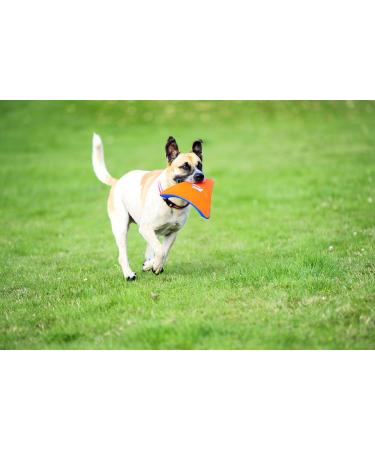 Buy Chuckit! Heliflight Large Dog Toy - Durable Interactive Fetch Fun | International Shipping Available - Buy Online on GoSupps.com