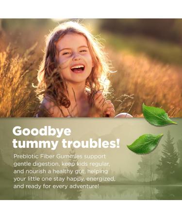 Natvites Prebiotic Kids Fiber Gummies for Children Ages 2 & Up - Sugar Free Vegetarian Gelatin Free Non-GMO Kids Fiber Supplements for Digestive Health (120 Count) - Buy Online on GoSupps.com