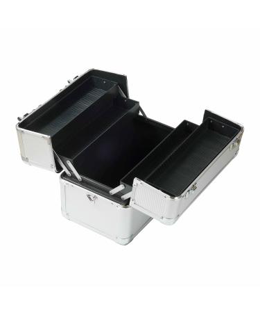 Nails Factory N & BF Small Professional Cosmetic Case | Silver ABS & Aluminum | Lockable 2-Floor Beauty Case with Fold-Out Shelves - Ideal for Travel & Storage - Buy Online on GoSupps.com