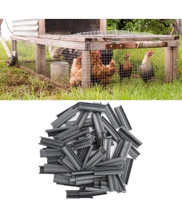 Cage Nails Not Reusable Birds Cage Nails Chicken Pigeons Cages Cages for Home Cages - Buy Online on GoSupps.com