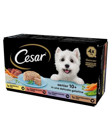 Cesar Senior 10+ Food for Senior Dogs Assorted Selection 150 g 24 tubs - 3600 g