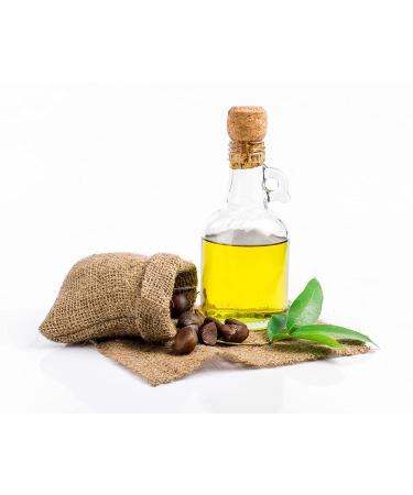 100% Pure Japanese Camellia Seed Oil - 8 oz | Cold Pressed, Unrefined, Non-GMO | Hydrating Oil for Skin, Hair, Nails | Vegan & Nourishing | Packaging May Vary - Buy Online on GoSupps.com