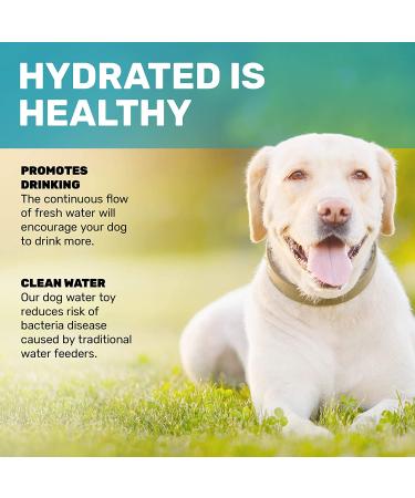 Scuddles Large Dog Water Fountain - Activated Sprinkler Dispenser for Small to Medium Pets - Dog Toy Bowl Alternative - Buy Online on GoSupps.com