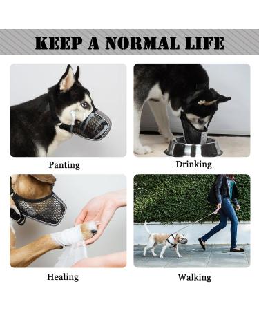 Soft Dog Muzzle for Large Medium & Small Breeds - Breathable & Comfortable for Eating Grooming & Biting - Perfect for Labrador Poodle Husky (Size S: Snout 8 -9 ) - Buy Online on GoSupps.com