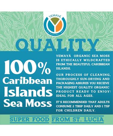 100% Wildcrafted Organic Sea Moss | Raw Sun-dried | Makes 65oz Gel | Gold Purple (GOLD) - Buy Online on GoSupps.com