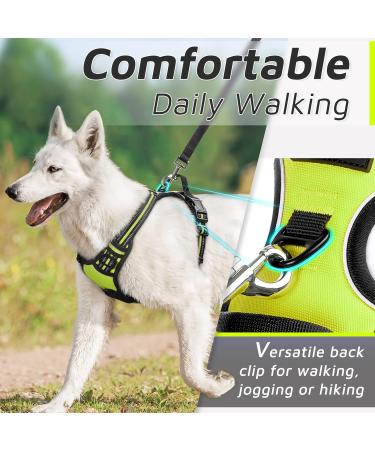 Buy Eagloo Medium Dog Harness - Adjustable Durable Anti- Pull with Reflex Strips for Walking & Jogging - Green M (1 Pack) - International Shipping Available - Buy Online on GoSupps.com