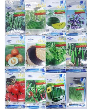 Portal Cool Chinese Chive Seeds 500 Natural Green Chiatai Thai Organic Vegetable Seeds Seeds - Buy Online on GoSupps.com