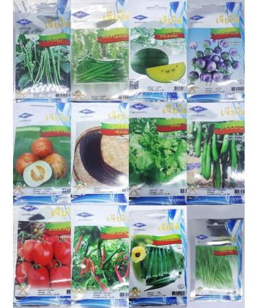 Cool Chinese Chive Seeds 500 Natural Organic Green Chiatai Thai Chive Seeds