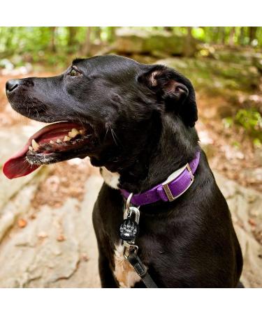 Forest Bear Paw Pet ID Tag Personalized Stainless Steel Round Dog Tags Printed Cat Collar Tags Accessories - Buy Online on GoSupps.com