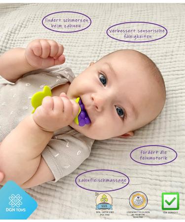 Baby Bite Set - BPA-Free Silicone Newborn Gift | Giraffe Banana Fruits | Motor Skills Toy for 3+ Months - Buy Online on GoSupps.com