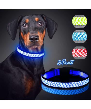 Light Up Dog Collars,Safety Glow in The Dark Dog Collars,LED Dog Collar Rechargeable Hi-Visibility Lighted Dog Collar at Night Flashing Dog Collar for Small,Medium,Large Dogs BLUE-B Medium