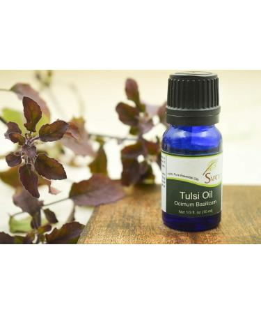 Buy SVATV Tulsi Essential Oil - Therapeutic Quality Aromatherapy Fragrance for Diffuser Yoga Massage & DIY Body Care | 10 ml Basil - Buy Online on GoSupps.com