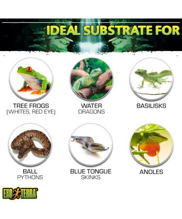 Premium Coco Husk Terrarium Substrate - Ideal for Vivid Plant Growth | International Shipping Available - Buy Online on GoSupps.com
