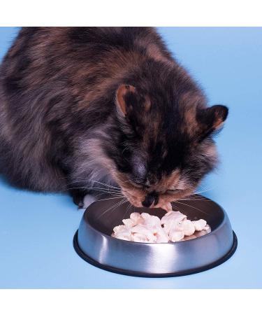 Dr. Catsby's Whisker Relief Food Bowl - Reduce Cat's Discomfort & Mess - Buy Online on GoSupps.com