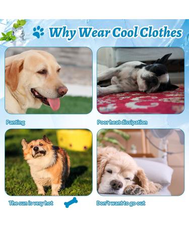Dog Cooling Vest Breathable Mesh Pet Cooling Jacket Blue Print Vest Elastic Summer Sun-Proof Ice Vest Cool Down Vest for Cat and Small Dogs Outdoor Activities Blue XX-Large - Buy Online on GoSupps.com