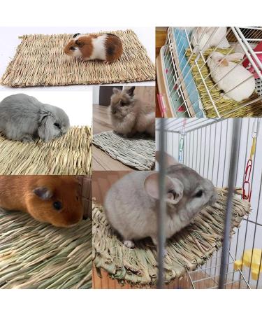 4 Pack Rabbit Grass Mat Natural Woven Hay Rabbit Bedding Bunny Chew Edible Cage Liner Straw Resting Mats for Cages Hut Guinea Pig Rodent Parrot Rabbit Bunny Hamster Rat Chinchilla-12inch Rabbit Mats - Buy Online on GoSupps.com