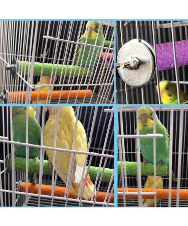 Tfwadmx Bird Bath for Cage - Parrot, Parakeet, Lovebirds, Conure, Cockatoos - No-Leakage Hanging Shower Tub for Small Pet Birds - Buy Online on GoSupps.com