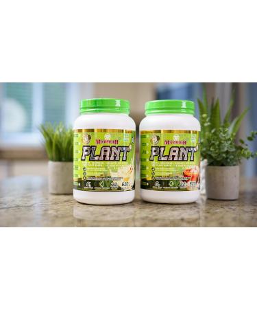 Mammoth Plant Vanilla Shake 20 serve - Buy Online on GoSupps.com