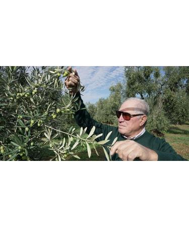 Cirulli Italian Extra Virgin Olive Oil Cold Extracted Bag in Box EVO (5 Liters) - Buy Online on GoSupps.com