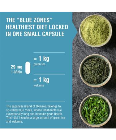 Endotelio 1-MNA Brain Anti-Aging Supplement Optimizes NAD+ with Ginkgo Biloba Zinc Biotin Vitamins C B1 B5 B6 B12 Mood Memory Concentration 30 Capsules - Buy Online on GoSupps.com