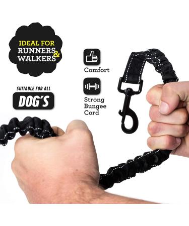 Buy Hand-Free Jogging Leash for Dogs | Elastic Bungee Belt for Running & Hiking | Supports Up to 60kg - Ideal for Two Dogs - Buy Online on GoSupps.com