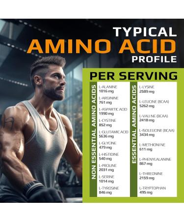 MFL 100% Pure Isolate Protein 2 lbs l 30g of Protein l 12g Amino Acids l Keto Friendly l Low Carbs | 28 Servings (Chocolate Lava) Chocolate Lava 2 Pound (Pack of 1) - Buy Online on GoSupps.com