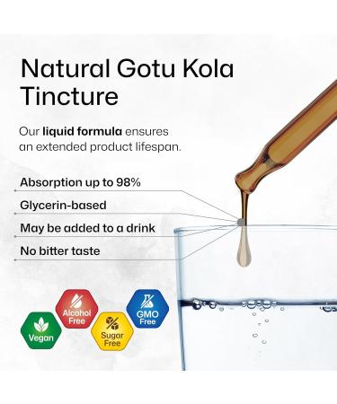 BIO KRAUTER Gotu Kola Tincture 2 Fl. Oz. & Pine Bark 60 Gummies - Buy Online on GoSupps.com
