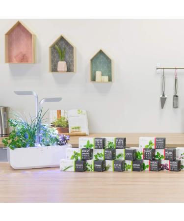 Mitsubishi Organic Japanese Parsley Lingot - Genuine Indoor Vegetable Garden and Exky Compatible - Ready to use refill - Su - Buy Online on GoSupps.com