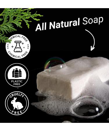 Sylvan Art Cedar Citrus Men's Organic Soap Bar - Handmade with Essential Oils - 5.5 oz - Buy Online on GoSupps.com