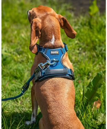 Buy Lionto Padded Anti-Pull Dog Harness - Reflective & Adjustable Safety Harness Size S Blue - International Shipping Available - Buy Online on GoSupps.com