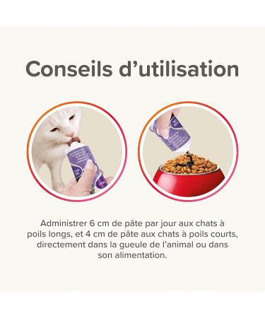 Beaphar Malt Paste for Cats - 100g | Improve Digestion & Reduce Hairballs | Fast International Shipping - Buy Online on GoSupps.com