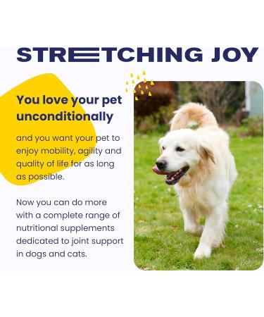Vetoquinol Flexadin Advanced (with boswellia) Dog Joint Supplement One Unit a Day for Dogs 30 Chews - Buy Online on GoSupps.com