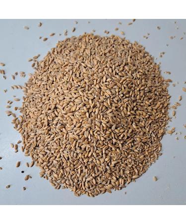 Premium Mills Emmer Grains 1000g - Fresh Whole Grain Emmer Kernels | R tze Mill Quality - Buy Online on GoSupps.com