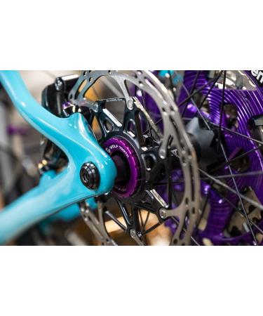 Wolf Tooth Centerlock Rotor Lockring - Gold | Premium Quality - Buy Online on GoSupps.com