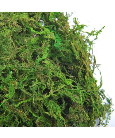 Topcomww Artificial Green Moss for Plant Crafts & Flower Centerpieces - 3.5oz - Buy Online on GoSupps.com