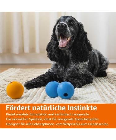 Amazon Basics Supreme Rubber Dog Play Balls - 6.4 cm (3-Pack) in Blue & Orange | Durable Dog Toys for International Shipping - Buy Online on GoSupps.com