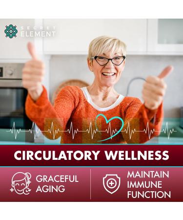 Secret Element Berberine HCL Supplement 1500 mg Vegan Capsules with Beet Root Citrus Bergamot & Black Currant Non-GMO 180 Capsules Pack of 2 180 Count (Pack of 2) - Buy Online on GoSupps.com