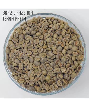 Green Coffee Beans 227g - Brazil Fazenda Terra Preta - Brown Bear - SCA 87.5 Score - Cup of Excellence - Unroasted Raw Coffee Beans for Home Roasters - Natural Dry Process - Buy Online on GoSupps.com