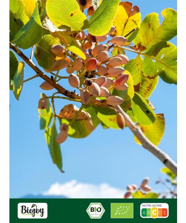 Biojoy BIO Pistachios peeled 500 g whole and unsalted - Buy Online on GoSupps.com