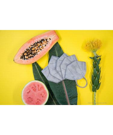 ProMedicalCare FFP2 Colored Face Masks - Individually Packed 10 Pack Gray | International Shipping Available - Buy Online on GoSupps.com