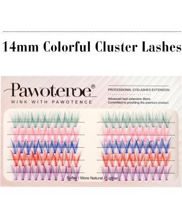 Colored Cluster Lashes Individual Lashes DIY Eyelash Extension 5 Colors Lash Clusters Eyelash 14mm Curl Lash Extension 100pcs Clusters False Lashes Set Pack by Pawotence (Color-Mix-14mm) COLORFUL - Buy Online on GoSupps.com