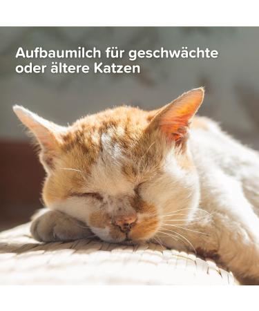 BEAPHAR Lactol Rearing Milk for Cats - 250g | Best Nutritional Formula for Kittens | International Shipping Available - Buy Online on GoSupps.com