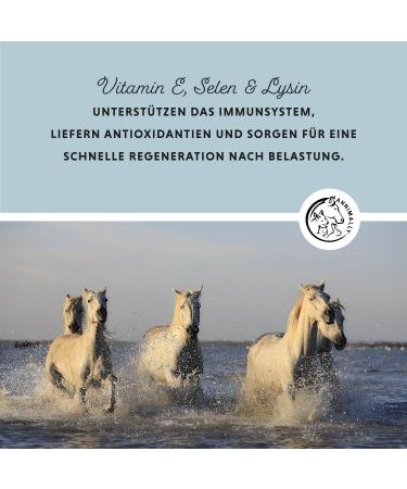 Annimally Selen - Premium Vitamin E Lysine & Selenium Powder for Horses | 800g Muscle & Performance Support Supplement - Buy Online on GoSupps.com